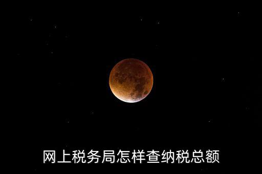 國(guó)稅局如何查稅，網(wǎng)上稅務(wù)局怎樣查納稅總額