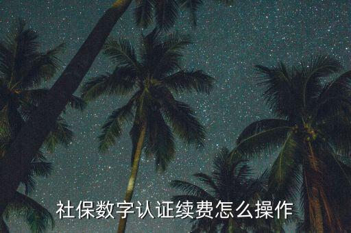 社保數字認證續費怎么操作