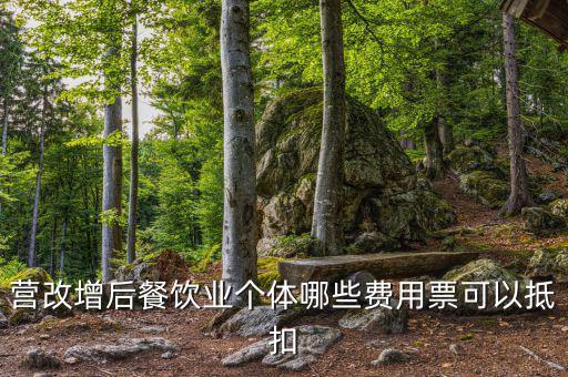 營改增后餐飲業個體哪些費用票可以抵扣