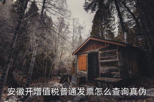 安徽省如何查稅票真假，安徽開增值稅普通發(fā)票怎么查詢真?zhèn)?/></a></span><span id=