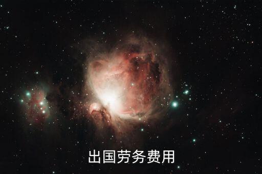 出國勞務費用