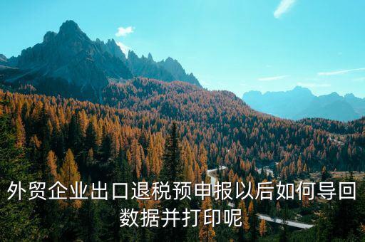 出口退免稅備案如何打印，外貿企業出口退稅預申報以后如何導回數據并打印呢