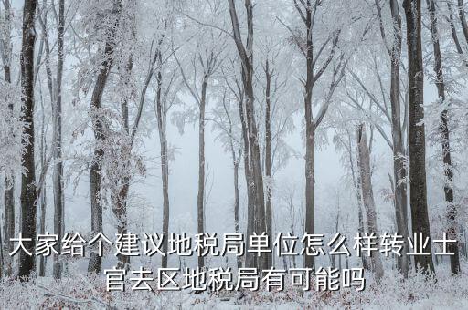 大家給個建議地稅局單位怎么樣轉業士官去區地稅局有可能嗎