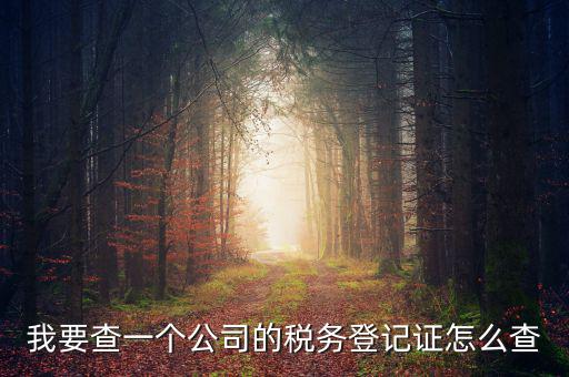 如何查企業的稅務登記證號，公司的稅務登記證號怎么查詢