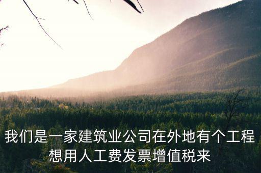 我們是一家建筑業公司在外地有個工程想用人工費發票增值稅來