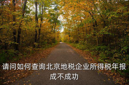 請(qǐng)問如何查詢北京地稅企業(yè)所得稅年報(bào)成不成功