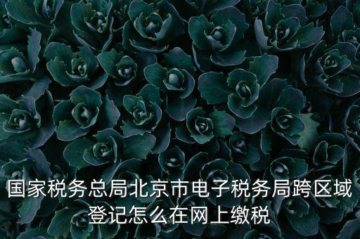 國家稅務總局北京市電子稅務局跨區域登記怎么在網上繳稅