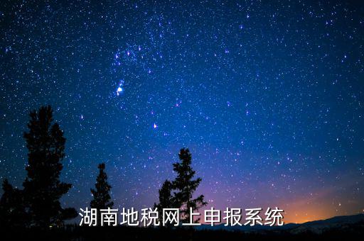 湖南地稅網上申報系統
