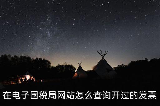 在電子國稅局網站怎么查詢開過的發票