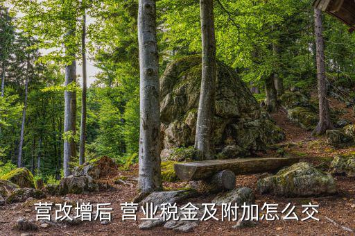 營改增后 營業稅金及附加怎么交