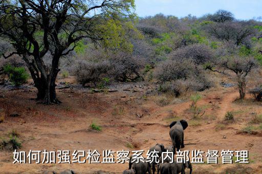 如何加強紀檢監察系統內部監督管理