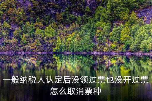 一般納稅人認(rèn)定后沒(méi)領(lǐng)過(guò)票也沒(méi)開過(guò)票怎么取消票種