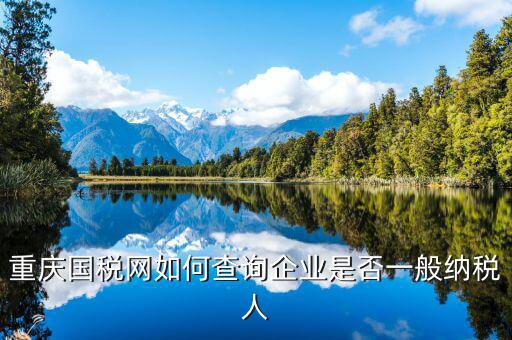 如何查詢?cè)鲋刀愐话慵{稅人資格，重慶國稅網(wǎng)如何查詢企業(yè)是否一般納稅人