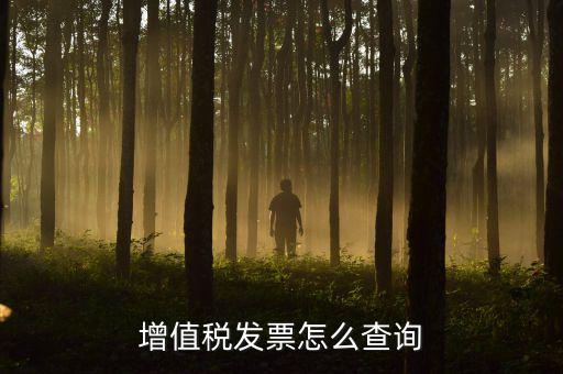 增值稅發票怎么查詢