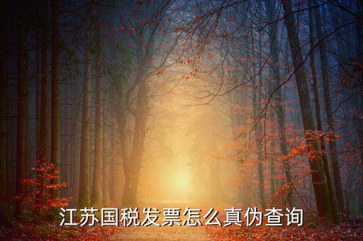 江蘇國稅發票怎么真偽查詢