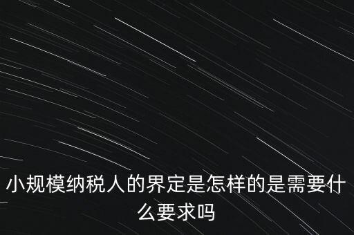 小規模納稅人的界定是怎樣的是需要什么要求嗎