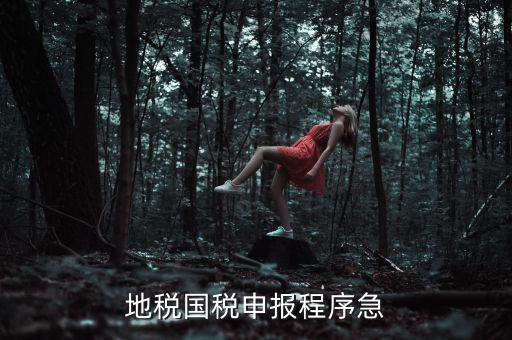 國稅地稅如何辦理流程，我想知道申報國稅地稅的流程包括前期需要什么資料期間如何