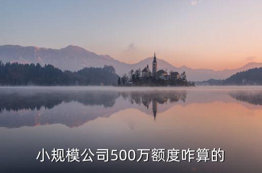 小規模公司500萬額度咋算的