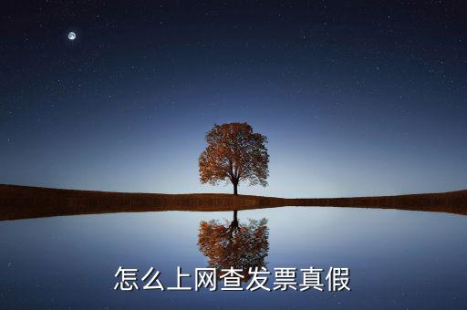 怎么上網查發票真假