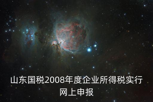 山東國稅2008年度企業所得稅實行網上申報