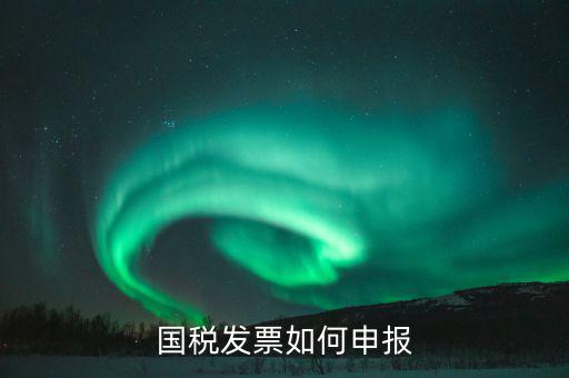 國稅發票如何申報