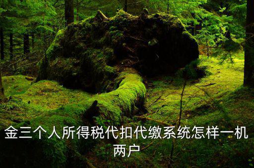 金三個人所得稅代扣代繳系統怎樣一機兩戶
