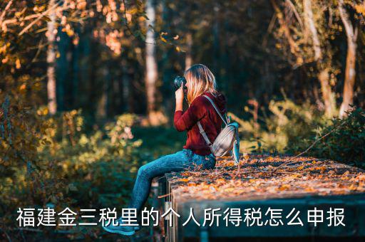 福建省個稅如何申報，福建金三稅里的個人所得稅怎么申報