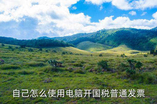 在國(guó)稅如何申請(qǐng)電子發(fā)票，怎麼申辦開具電子發(fā)票