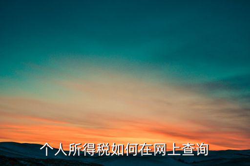 天津如何查個人所得稅，個人所得稅如何在網上查詢