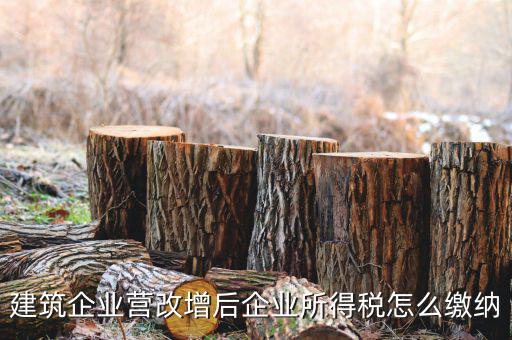 建筑企業營改增后企業所得稅怎么繳納