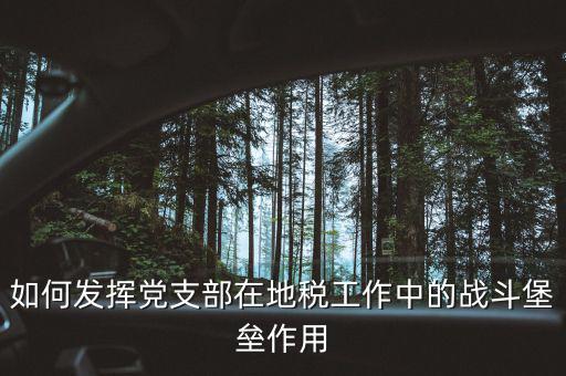 如何發揮黨支部在地稅工作中的戰斗堡壘作用