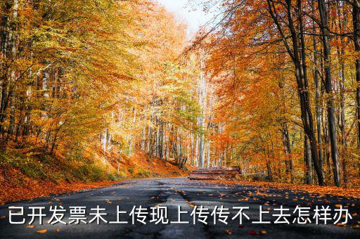 已開發票未上傳現上傳傳不上去怎樣辦