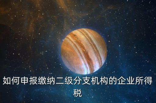 如何申報繳納二級分支機構的企業所得稅