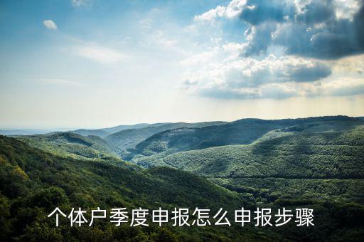 個體戶如何季度申報表，個體戶每個季度怎樣報稅