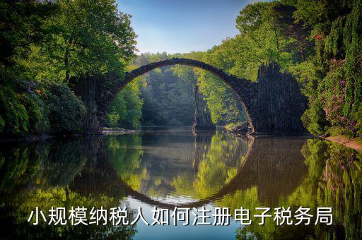 小規模納稅人如何注冊電子稅務局