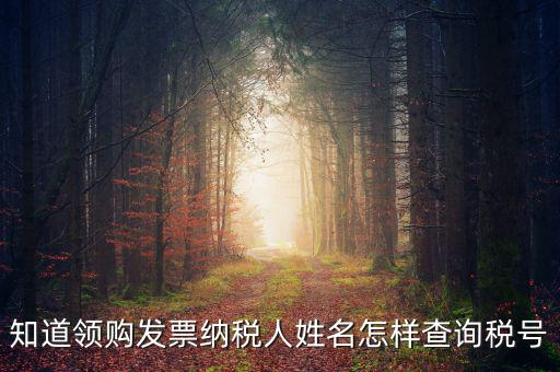 知道領購發票納稅人姓名怎樣查詢稅號