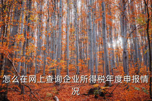企業稅務信息如何查詢系統，通過企業注冊號和地稅登記證號如何查詢企業信息
