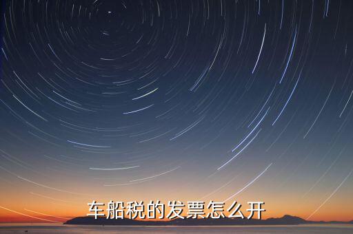 車船稅的發票怎么開