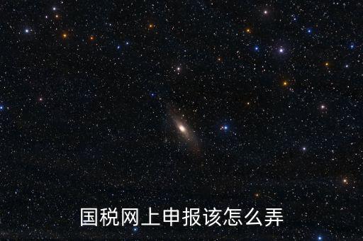 國稅新系統(tǒng)如何申報，國稅網(wǎng)上申報該怎么弄
