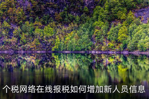 個稅網絡在線報稅如何增加新人員信息