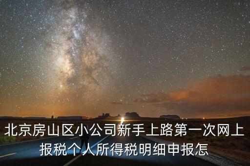 北京房山區小公司新手上路第一次網上報稅個人所得稅明細申報怎