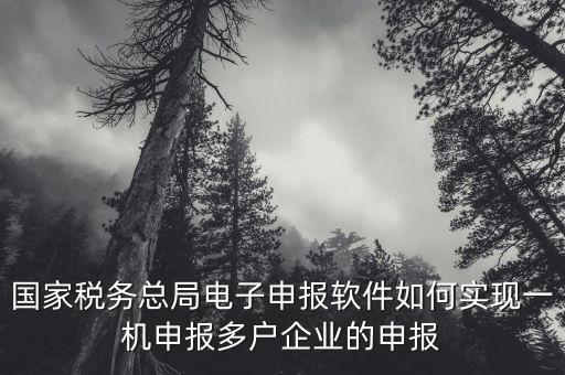 國家稅務總局電子申報軟件如何實現一機申報多戶企業的申報