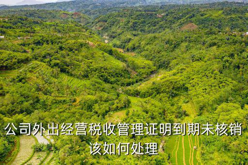 未核銷(xiāo)外經(jīng)證如何查詢，外經(jīng)證有效期在網(wǎng)上怎么查詢
