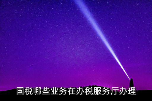 國稅哪些業務在辦稅服務廳辦理
