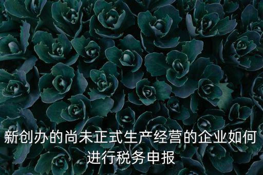 新創辦的尚未正式生產經營的企業如何進行稅務申報