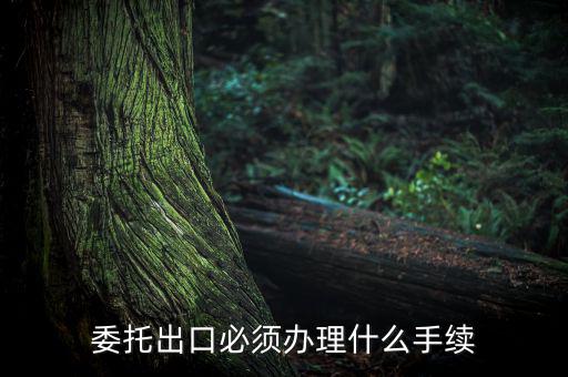 如何開具代理出口貨物證明，代理公司在當(dāng)?shù)亻_具代理出口貨物證明 請(qǐng)問我公司如何