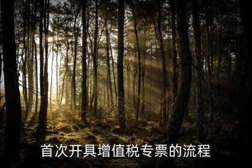 如何申請(qǐng)?jiān)鲋刀悓?zhuān)票，怎么申辦專(zhuān)用發(fā)票