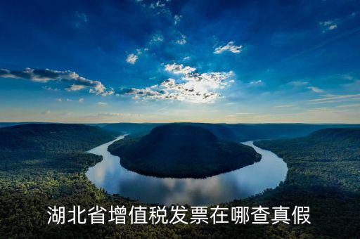 如何查詢湖北省增值稅發票真偽，湖北省增值稅發票在哪查真假