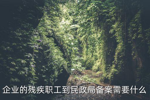 企業的殘疾職工到民政局備案需要什么