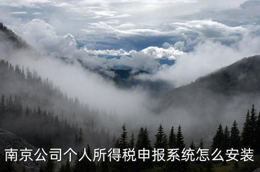 南京公司個人所得稅申報系統怎么安裝